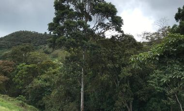 lote en venta en dapa. Cod V9403783