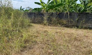 Residential Lot for sale in Buenlag, Calasiao, Pangasinan