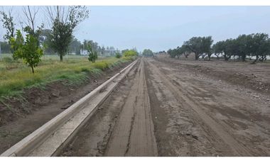 LOTES OLIVOS VIP SAN RAFAEL MENDOZA