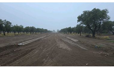 LOTES OLIVOS VIP SAN RAFAEL MENDOZA