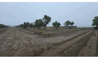 LOTES OLIVOS VIP SAN RAFAEL MENDOZA