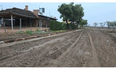 LOTES OLIVOS VIP SAN RAFAEL MENDOZA
