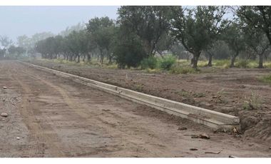 LOTES OLIVOS VIP SAN RAFAEL MENDOZA
