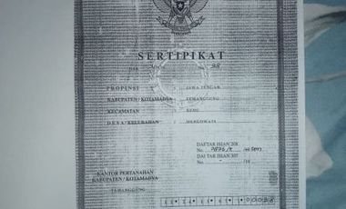 Dijual Cepat Tanah Pekarangan Dekat SMPN Kedu Temanggung