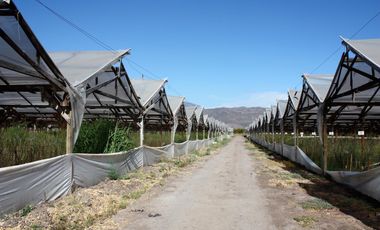 Vendemos Parcela A Orilla De Carretera