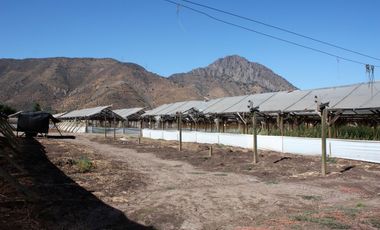 Vendemos Parcela A Orilla De Carretera