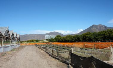 Vendemos Parcela A Orilla De Carretera