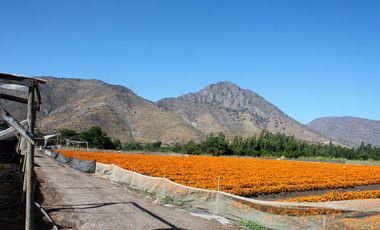Vendemos Parcela A Orilla De Carretera