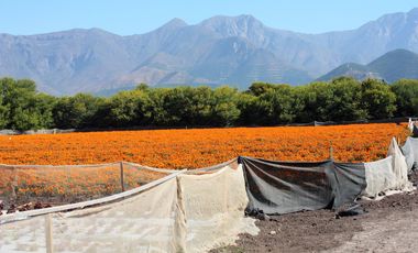 Vendemos Parcela A Orilla De Carretera