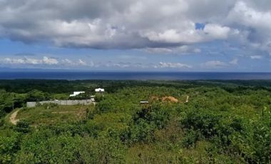 Overlooking lot for sale in camotes island near resort