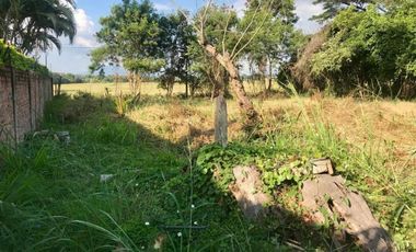 lote en venta en lomitas, trapiche. Cod V1276