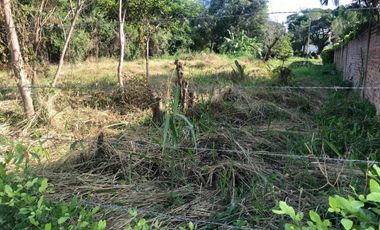 lote en venta en lomitas, trapiche. Cod V1276