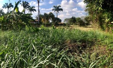 lote en venta en lomitas, trapiche. Cod V1276