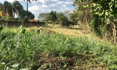 lote en venta en lomitas, trapiche. Cod V1276