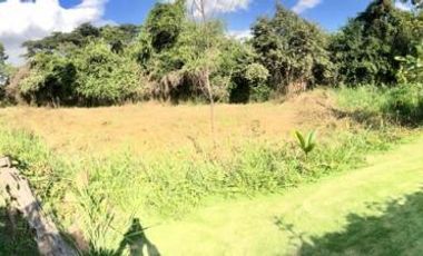 lote en venta en lomitas, trapiche. Cod V1276