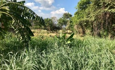 lote en venta en lomitas, trapiche. Cod V1276