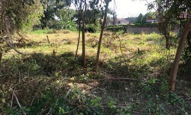 lote en venta en lomitas, trapiche. Cod V1276