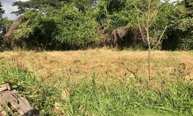 lote en venta en lomitas, trapiche. Cod V1276