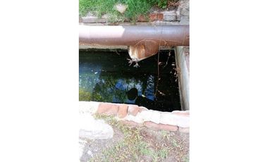 FINCA EN VENTA SAN RAFAEL