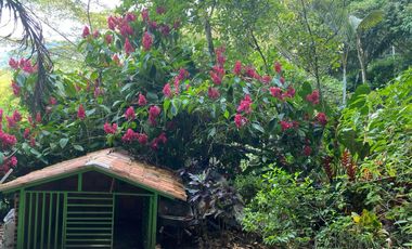 finca en venta en vereda naranjal. Cod V1116008