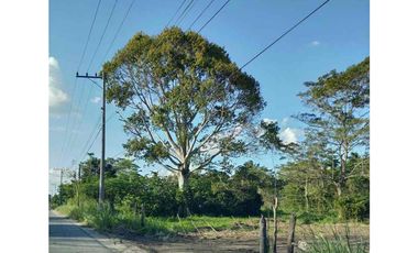 Rento terreno para empresas en Cunduacán, Tabasco, 86692, MEX.  Cerca del parque industrial.