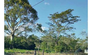 Rento terreno para empresas en Cunduacán, Tabasco, 86692, MEX.  Cerca del parque industrial.
