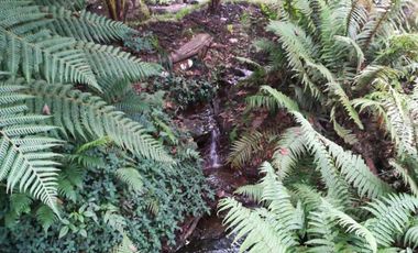 casa campestre en venta en horizonte reservado. Cod V3364