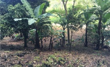 Terreno en venta ubicado en la Laguna de San Carlos (AA)