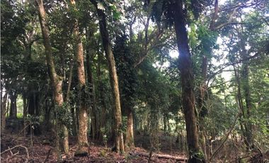 Terreno en venta ubicado en la Laguna de San Carlos (AA)