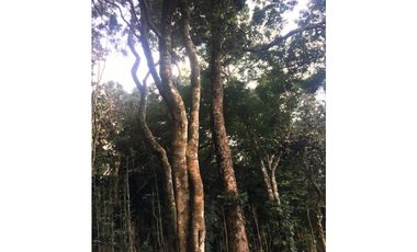 Terreno en venta ubicado en la Laguna de San Carlos (AA)