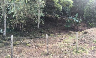 Terreno en venta ubicado en la Laguna de San Carlos (AA)