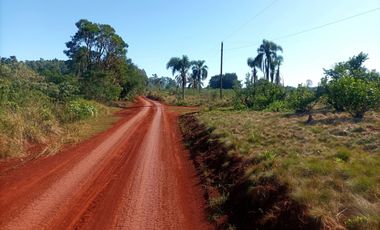 Vendo Chacra de 5,70 hectareas de te
