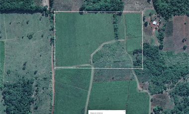 Vendo Chacra de 5,70 hectareas de te