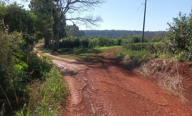 Vendo Chacra de 5,70 hectareas de te