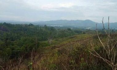 Land for Sale at Lacolac Baungon Bukidnon
