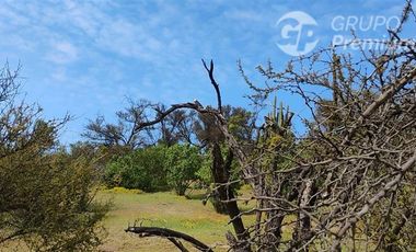 Parcela en venta 10000m2 en Curacaví
