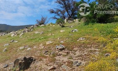 Parcela en venta 10000m2 en Curacaví
