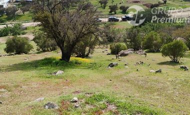 Parcela en venta 10000m2 en Curacaví