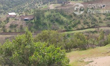 Parcela en venta 10000m2 en Curacaví