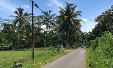 Dijual Kavlingan Kawasan Wisata Borobudur Row Jalan 7 Meter