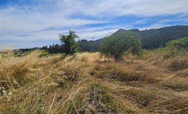 Sitio en Venta en Lago Machicura