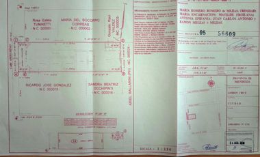 BARRIO BOMBAL, SOBRE AMEGHINO