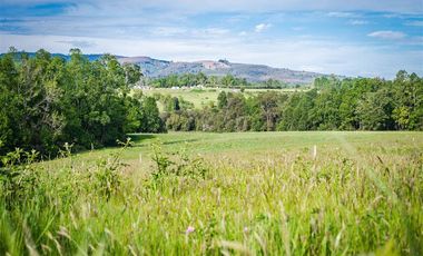 Parcela en Venta en Parcelación Agricola Los Cipreses (Etapa 2) 5. 000 m2, Paillaco, Futrono, Valdivia