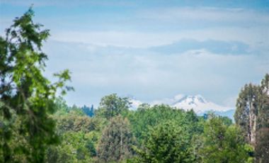 Parcela en Venta en Parcelación Agricola Los Cipreses (Etapa 2) 5. 000 m2, Paillaco, Futrono, Valdivia