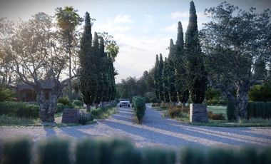 3500 M2 EN PRIVADA CON SEGURIDAD 24 HRS. EN VALLE DE GUADALUPE