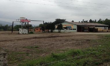4,5 Hectareas