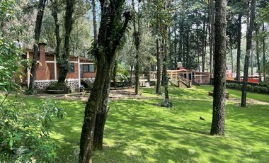 Venta Casa en  Fraccionamiento Monte Verde - V302