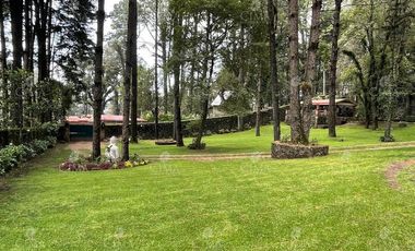Venta Casa en  Fraccionamiento Monte Verde - V302