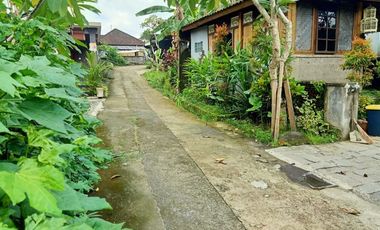 VILLA CANTIK DI KAWASAN HIJAU UBUD, INVESTASI PASTI UNTUNG