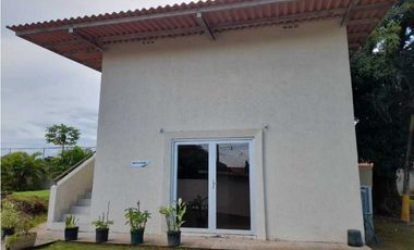 ALQUILER APARTAMENTO PEDREGAL PH PALMERAS